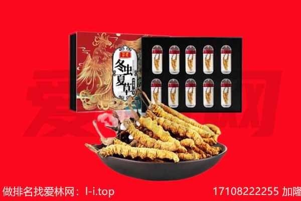 文昌市回收虫草.jpg